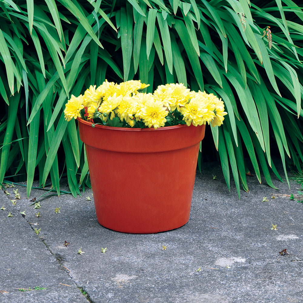 Kingfisher Plant Pot (10”)